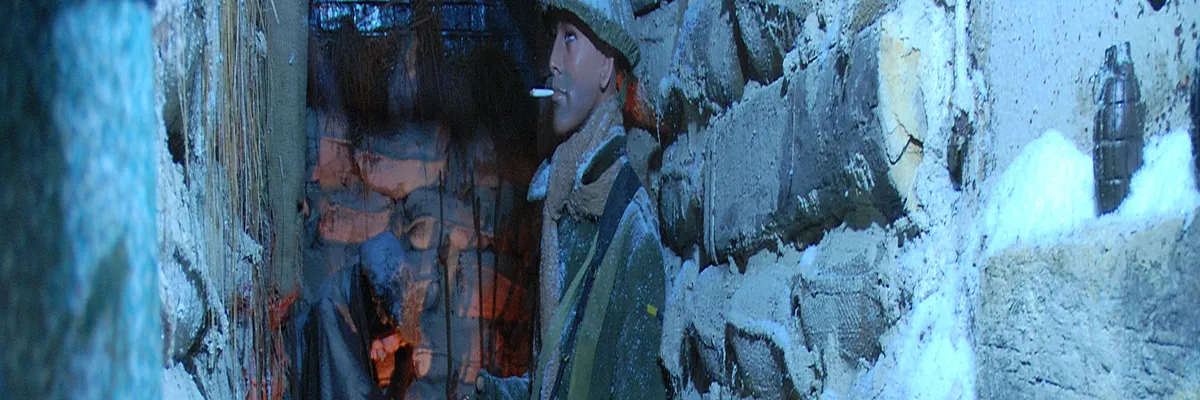 Image Entreprise abri de piscine Albert