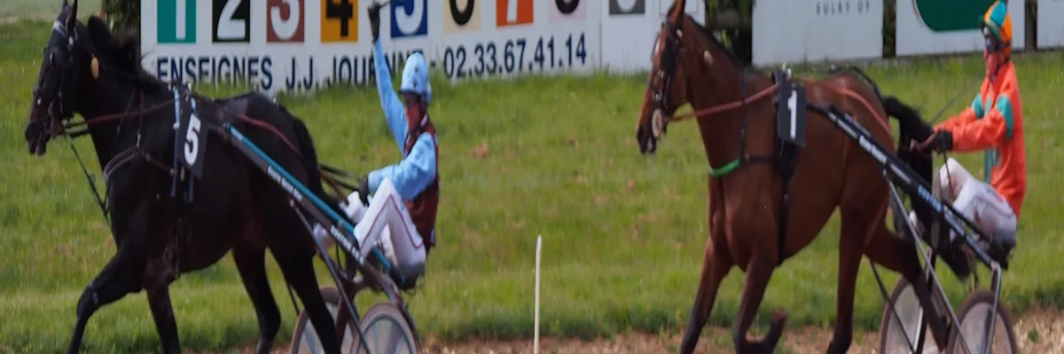 Image Entreprise abri de piscine Argentan