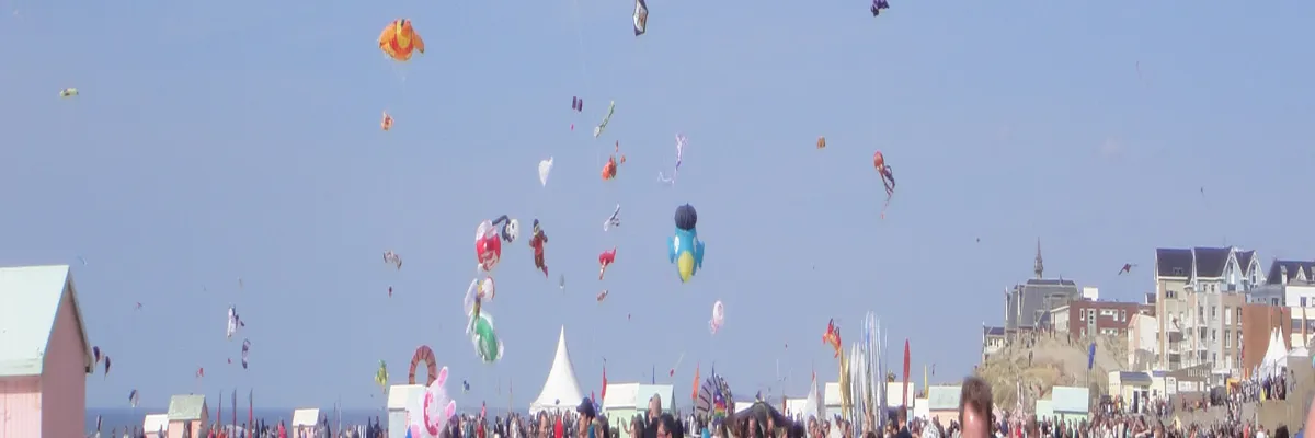 Image Entreprise abri de piscine Berck