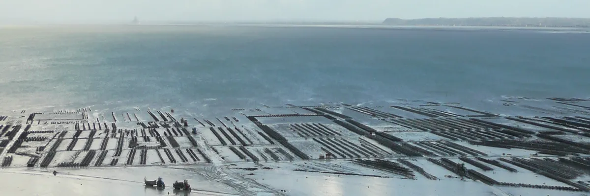 Image Entreprise abri de piscine Cancale