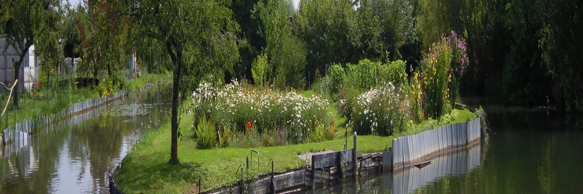 Image Entreprise abri de piscine Cher