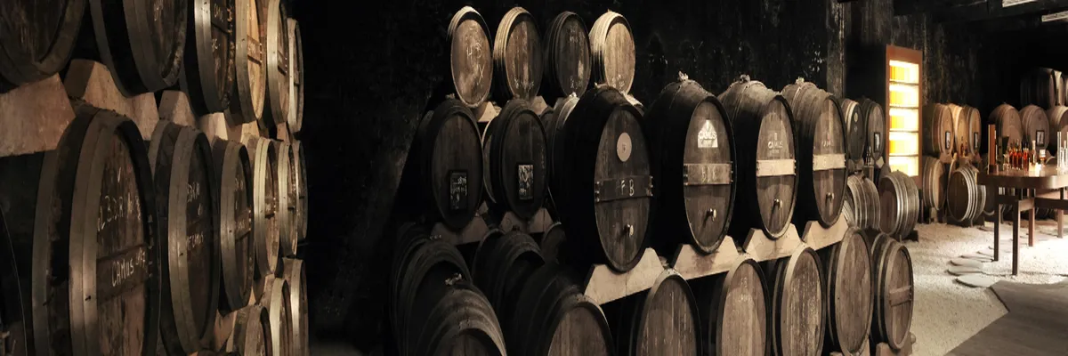 Image Entreprise abri de piscine Cognac