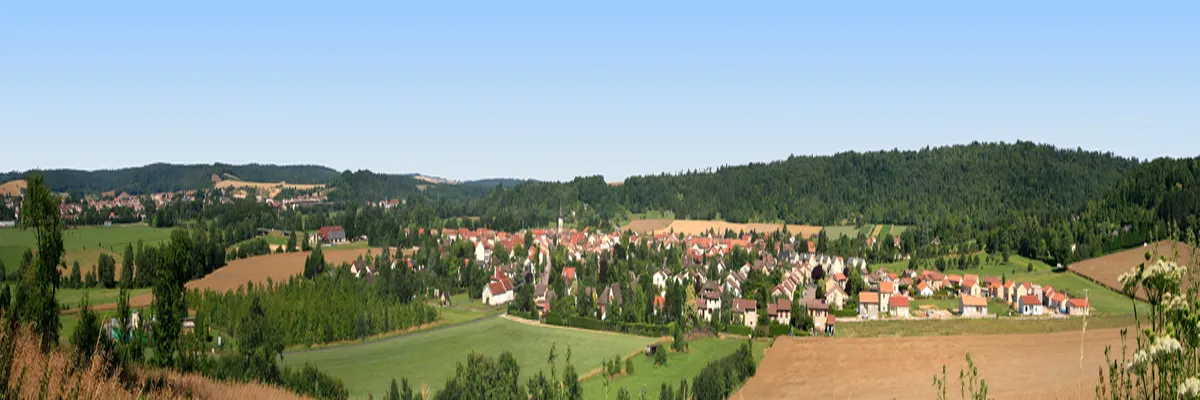 Image Entreprise abri de piscine Commercy