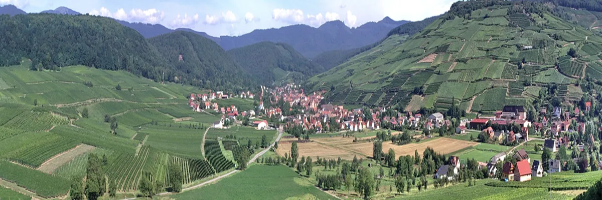 Image Entreprise abri de piscine Grand Est