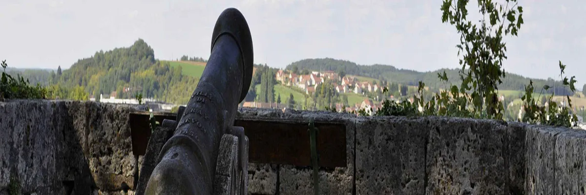 Image Entreprise abri de piscine Gray