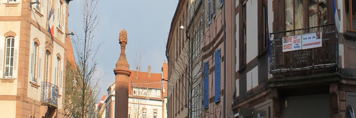 Image Entreprise abri de piscine Haguenau