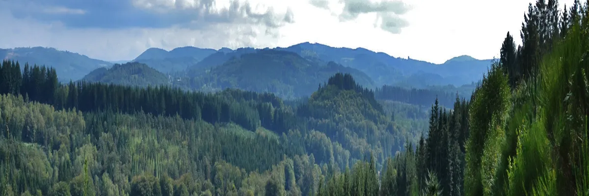 Image Entreprise abri de piscine Haute-Vienne
