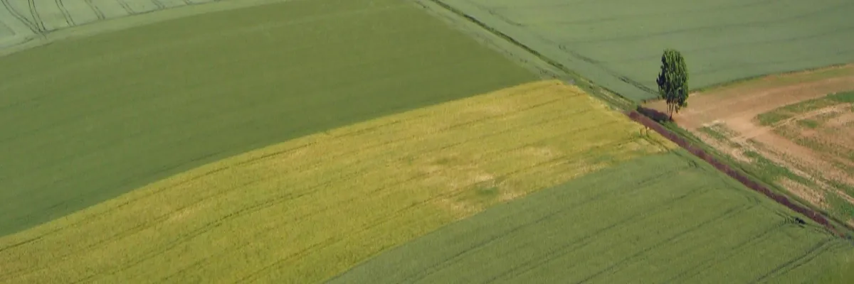 Image Entreprise abri de piscine Hauts-de-France