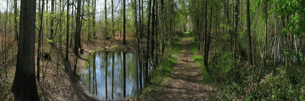 Image Entreprise abri de piscine Indre