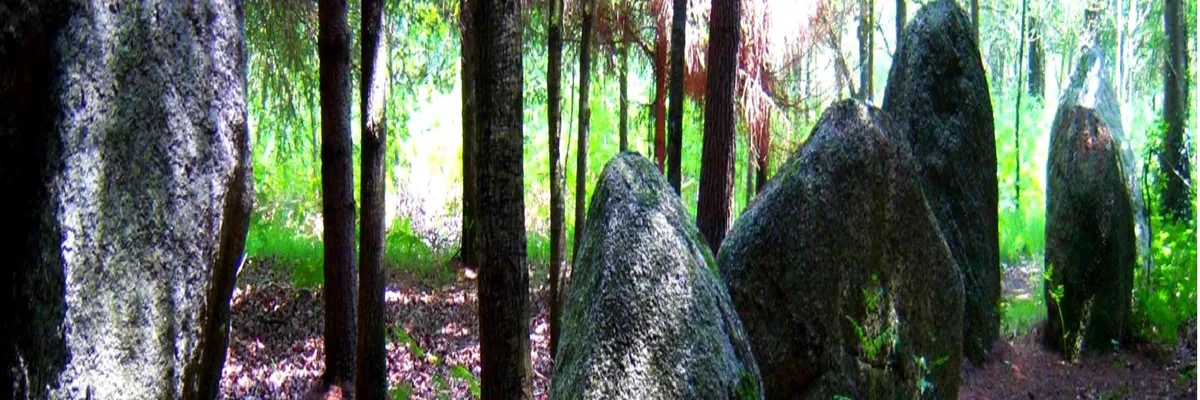 Image Entreprise abri de piscine Languidic