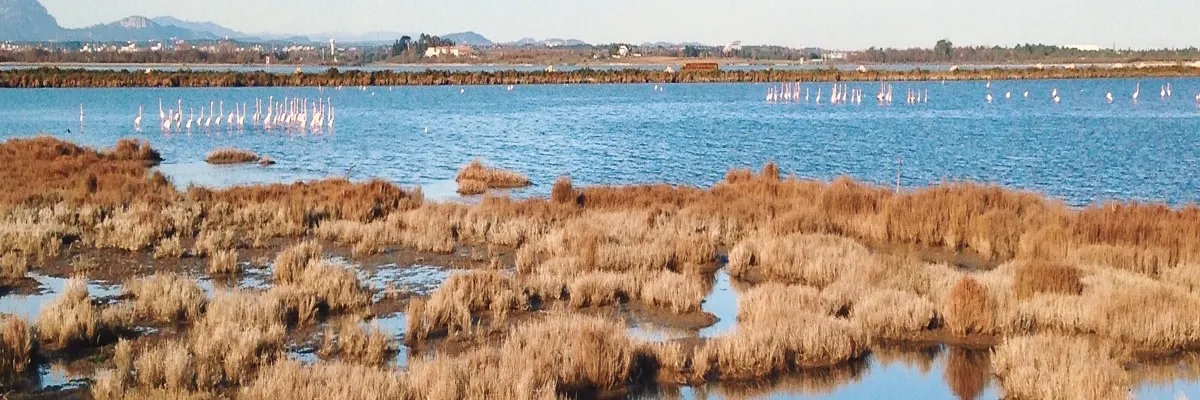 Image Entreprise abri de piscine Lattes
