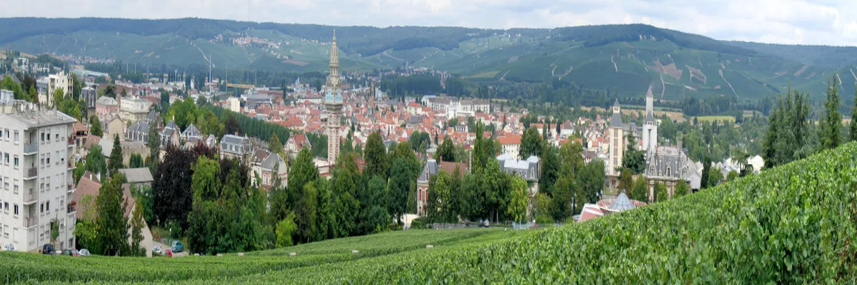 Image Entreprise abri de piscine Marne