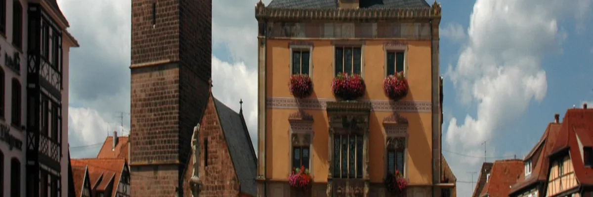 Image Entreprise abri de piscine Obernai