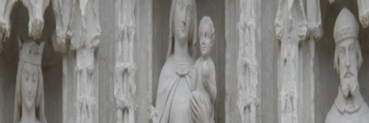 Image Entreprise abri de piscine Poitiers