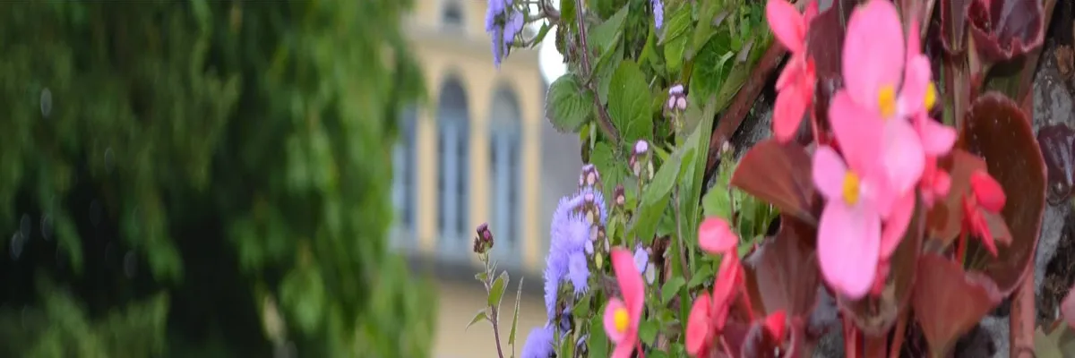 Image Entreprise abri de piscine Saint-Étienne-au-Mont