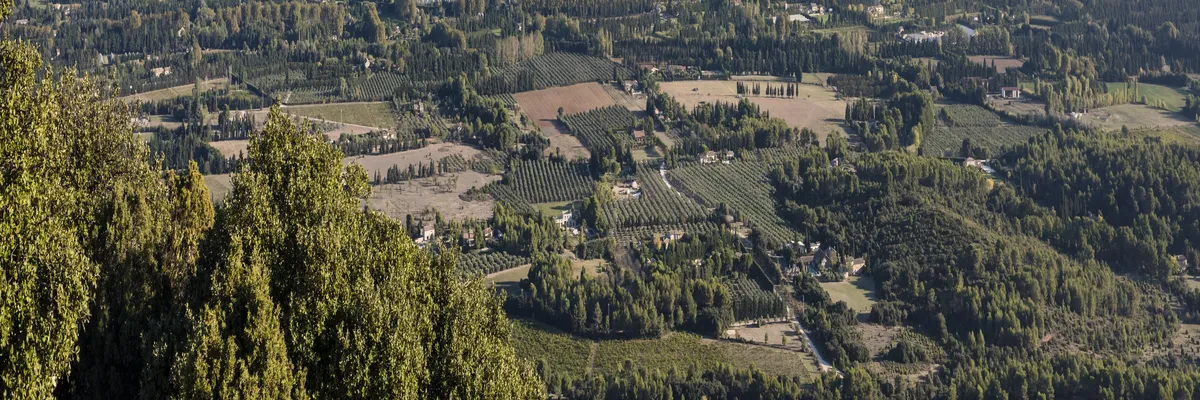 Image Entreprise abri de piscine Saint-Rémy-de-Provence