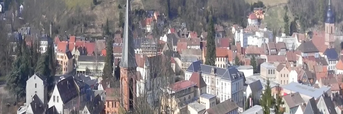 Image Entreprise abri de piscine Sainte-Marie-aux-Mines