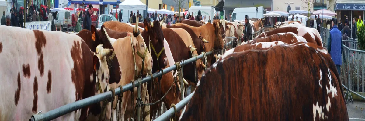Image Entreprise abri de piscine Yvetot