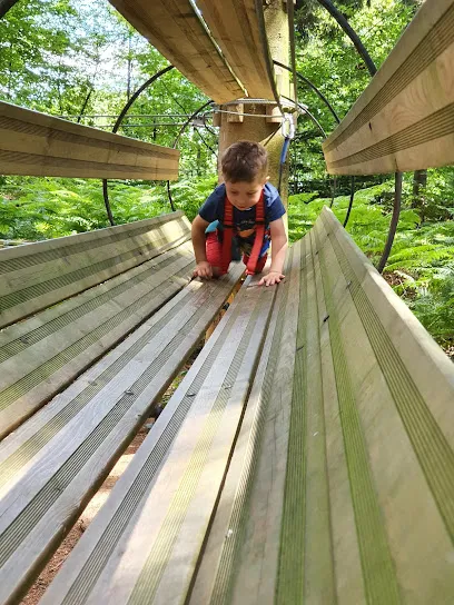 Image de Arbr'en Ciel