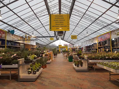 Image de Jardinerie Tournesols Chapelle-lez-Herlaimont