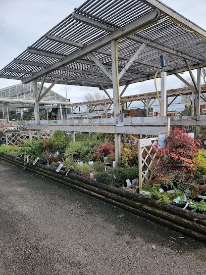 Image de Tridôme Carcassonne Bricolage