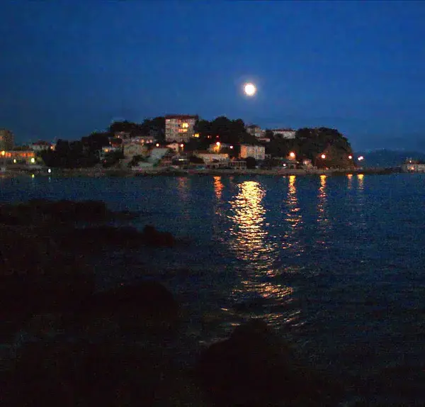 Abri Piscine Motorisé Entreprise abri de piscine Bandol