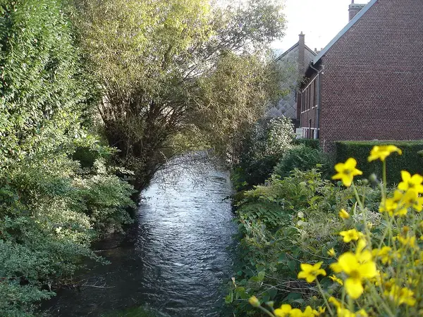 Abri Piscine Motorisé Entreprise abri de piscine Déville-lès-Rouen