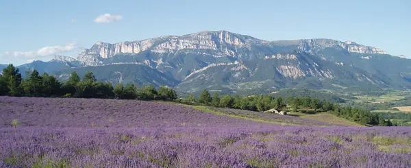 Abri Piscine Motorisé Entreprise abri de piscine Drôme
