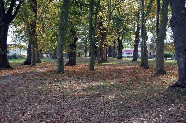 Abri Piscine Motorisé Entreprise abri de piscine Idron