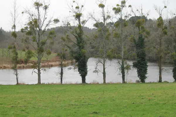 Abri Piscine Motorisé Entreprise abri de piscine Muzillac