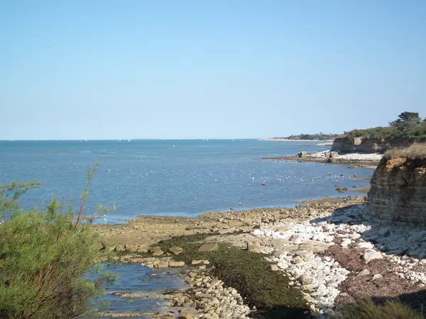 Abri Piscine Motorisé Entreprise abri de piscine Nouvelle-Aquitaine
