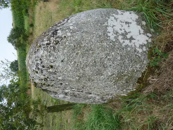 Abri Piscine Motorisé Entreprise abri de piscine Plaintel