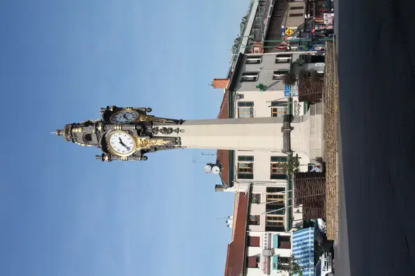 Abri Piscine Motorisé Entreprise abri de piscine Tassin-la-Demi-Lune